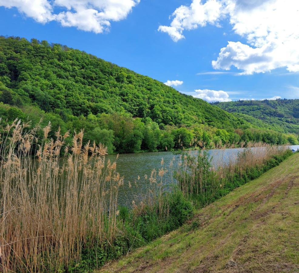 Zum Stausee Bad Münster am Stein-Ebernburg Εξωτερικό φωτογραφία